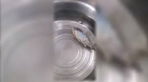 Սառեցված ձուկը կենդանացել է չինացի գնորդների աչքի առաջ